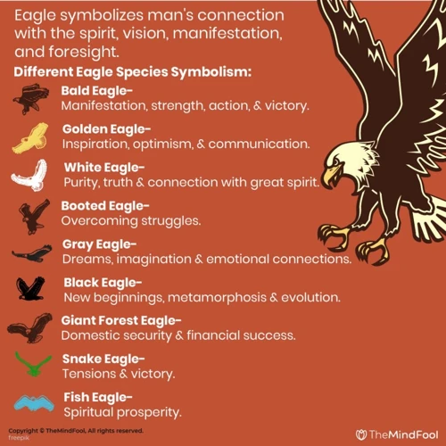 Vogelarten Und Ihre Symbolik