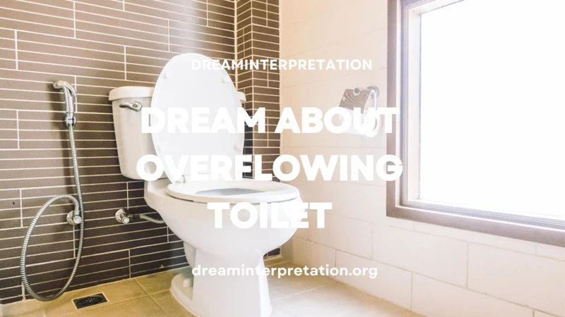 Interpretationen Von Träumen Über Eine Überschwemmung Der Toilette