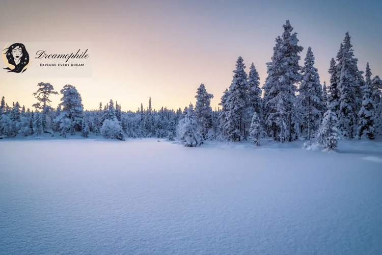 Besondere Traumszenarien Mit Schnee