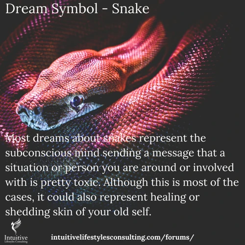 Die Bedeutung Von Schlangen In Träumen