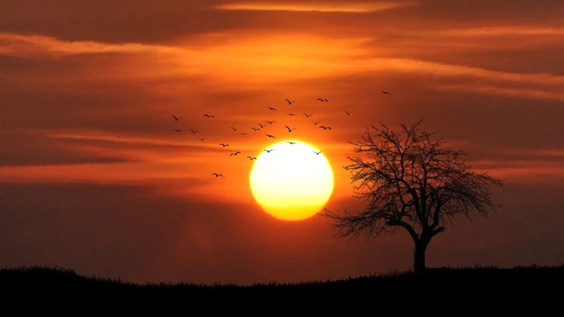 Die Spirituelle Bedeutung Des Sonnenuntergangs In Träumen